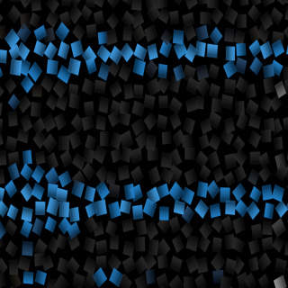 Les tribulations d'un torrent