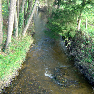 Une soirée chants des ruisseaux depuis Ancrage à Nancy