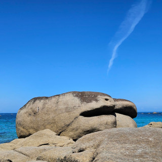 Des mondes des eaux et SNSM à Brignogan